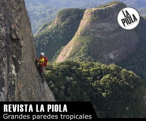 Grandes paredes tropicales