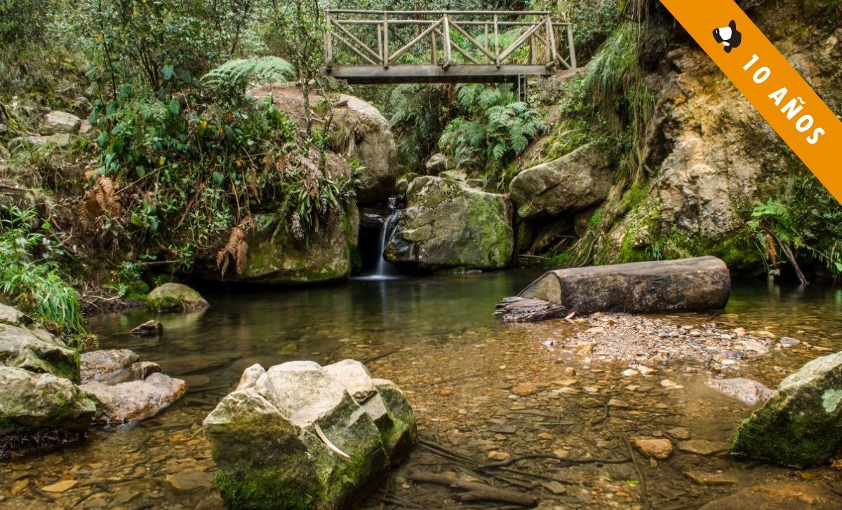 Quebradas cristalinas que se convierten en atractivo turístico para los caminantes.