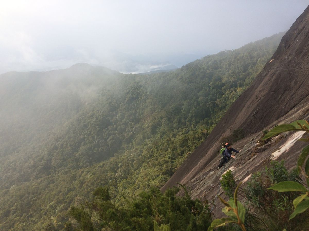 paredes tropicales 02