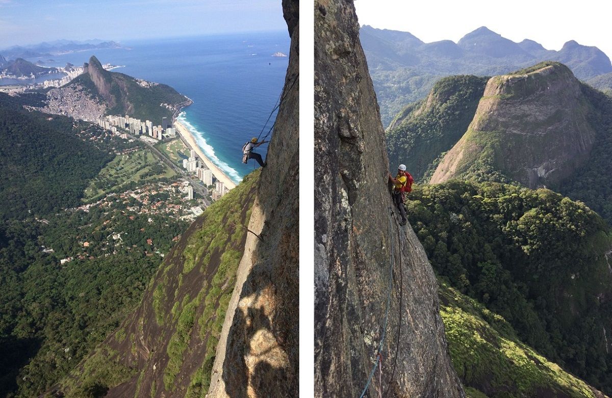 paredes tropicales 04