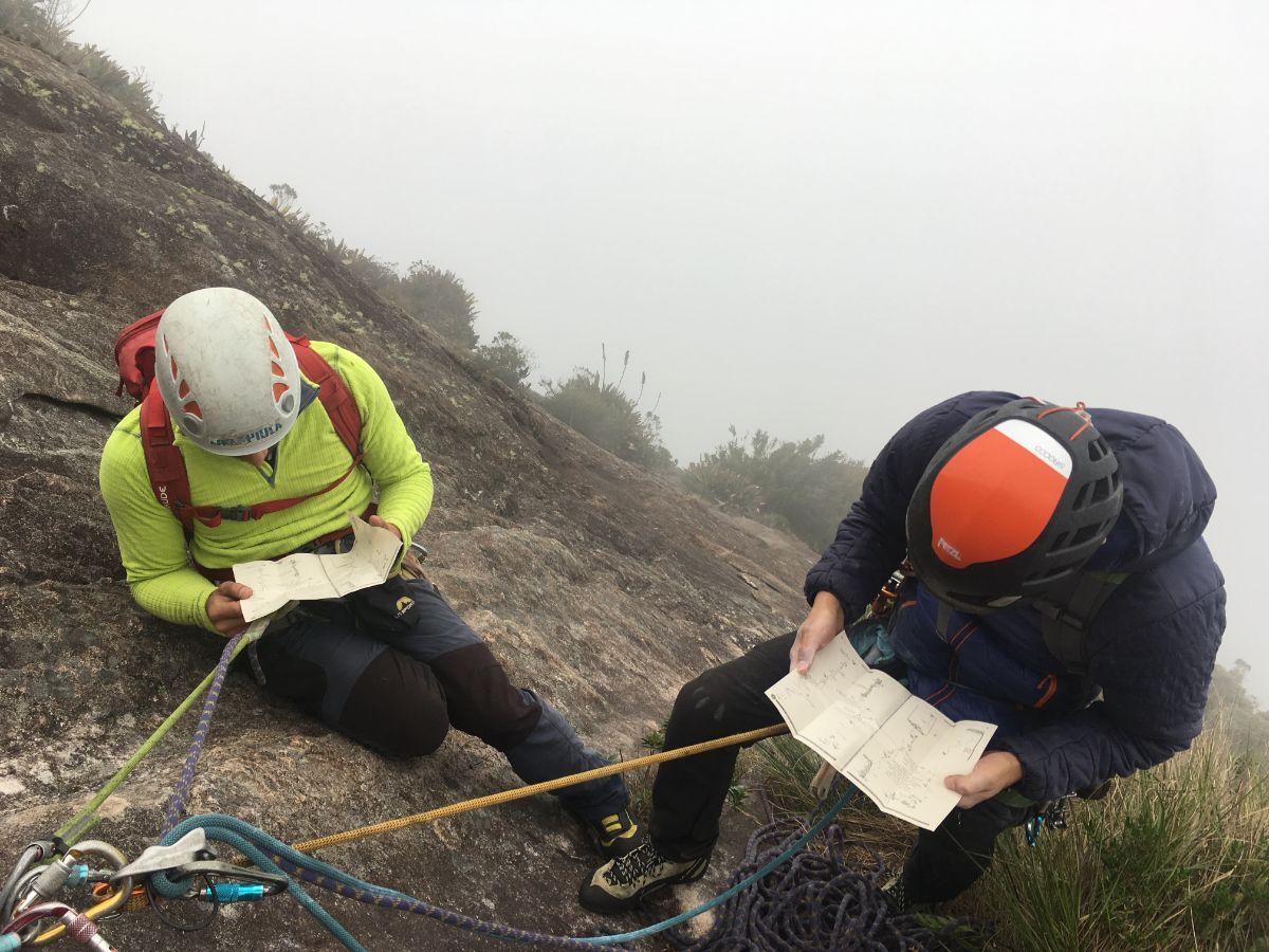 paredes tropicales 05