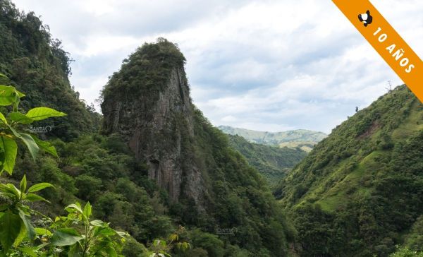 La entrada a las zonas de escalada se realiza por un camino fácil entre praderas y vegetación frondosa.