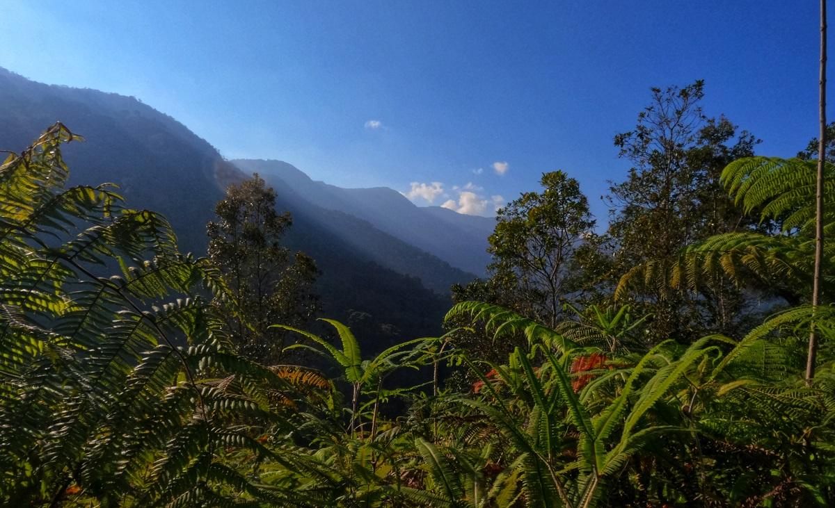 senderos geo von lengerke 04