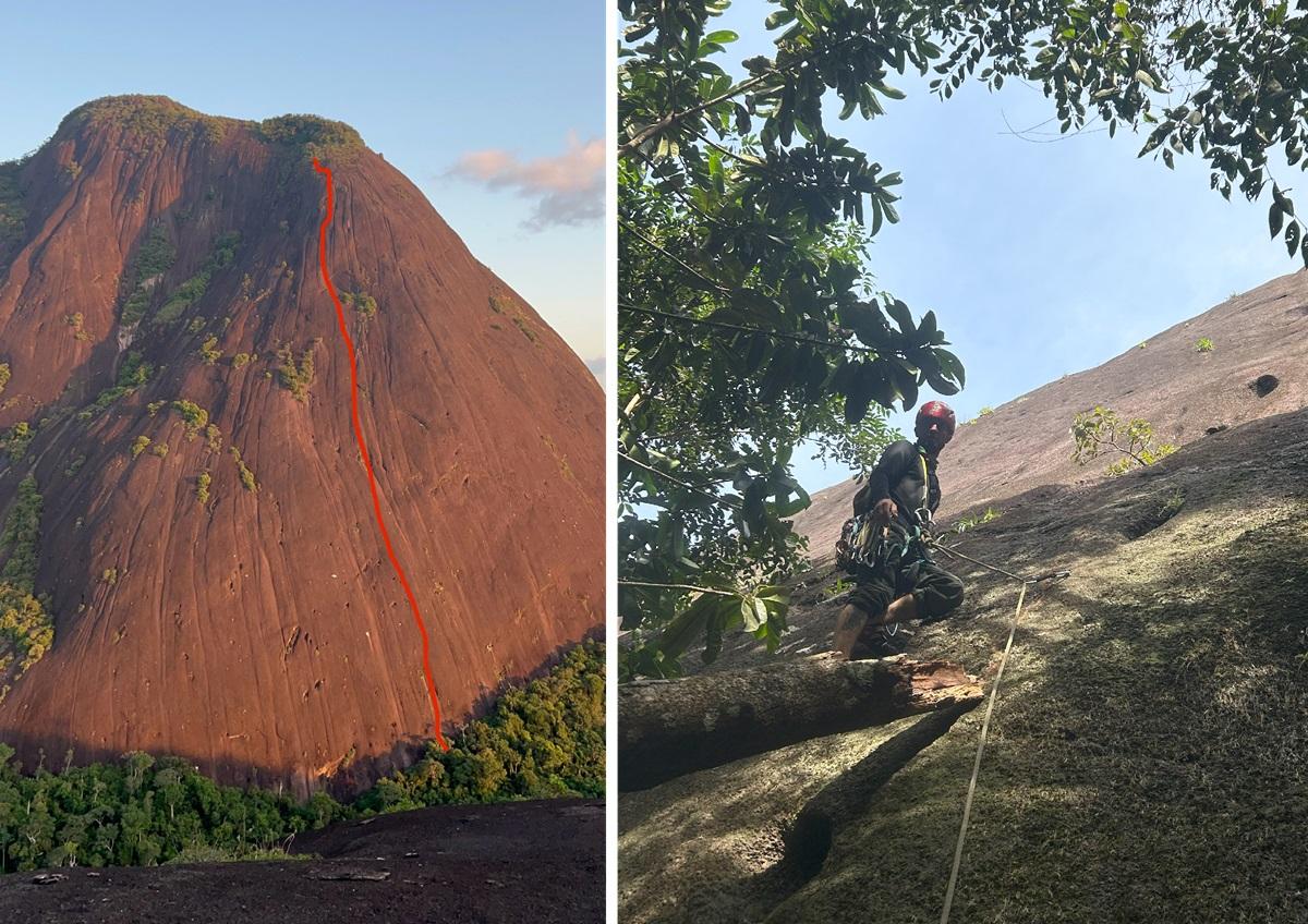 protocolo mavicure 01